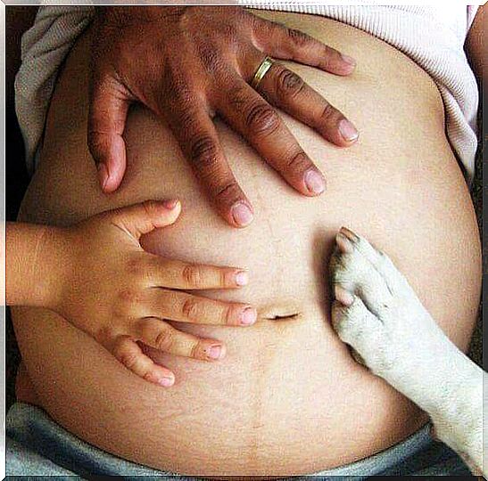 Planning a second pregnancy - hands of family members are on baby bump