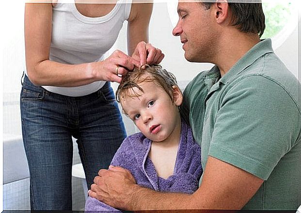 7 tips against lice