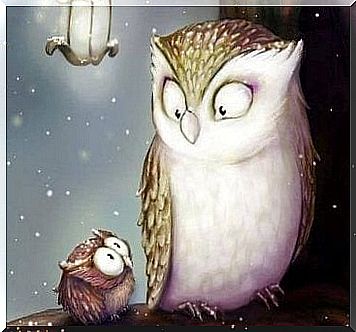 Owl mother with child