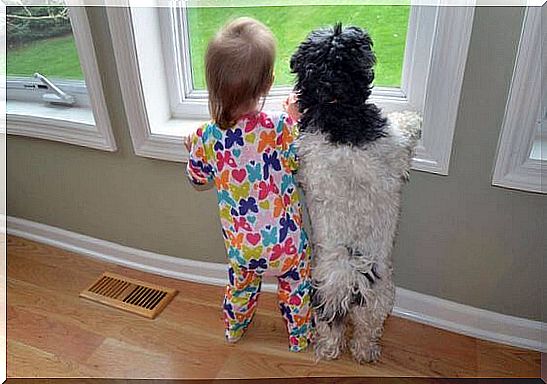 To say goodbye - baby and dog look out the window