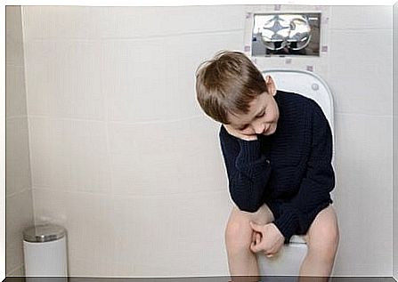 Child is not afraid of the toilet