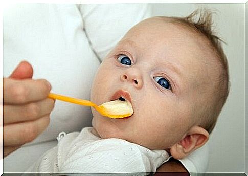 How and when to switch to solid food