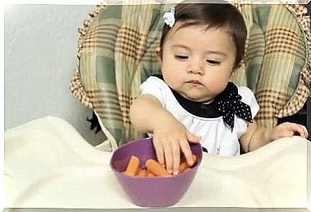 solid food for baby