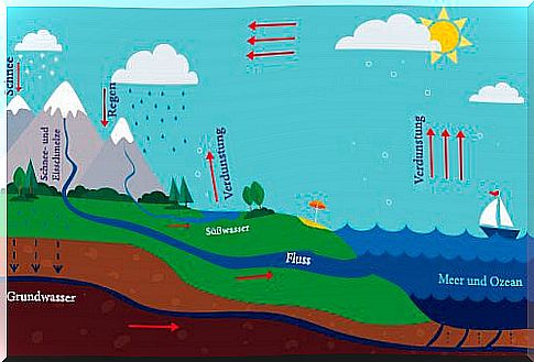 How you can explain the water cycle to your children