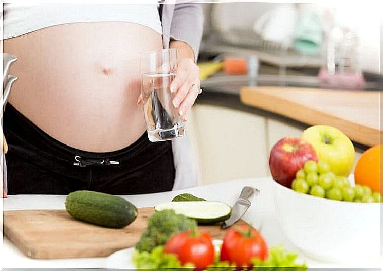 Diet in a multiple pregnancy