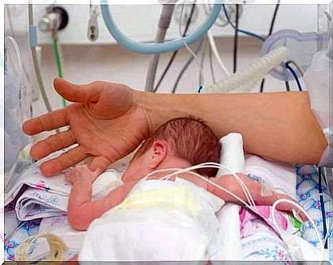 Premature babies in the intensive care unit - Premature babies on the intensive care unit-2