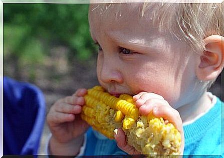 Child eats corn on the cob